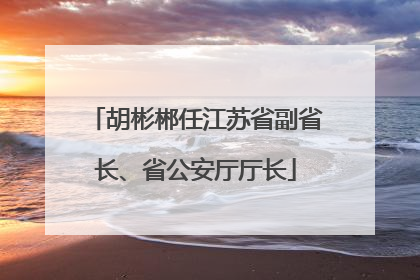 胡彬郴任江苏省副省长、省公安厅厅长