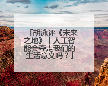 胡泳评《未来之地》︱人工智能会夺走我们的生活意义吗？
