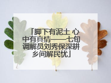 脚下有泥土 心中有真情——七旬调解员刘秀保深耕乡间解民忧
