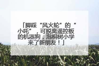 脚踩“风火轮”的“小吒”，可脱离遥控板的机器狗，泡桐树小学来了新朋友！