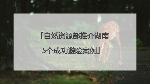 自然资源部推介湖南5个成功避险案例