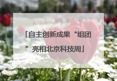 自主创新成果“组团”亮相北京科技周