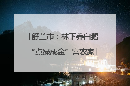 舒兰市：林下养白鹅 “点绿成金”富农家