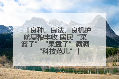 良种、良法、良机护航夏粮丰收 居民“菜篮子”“果盘子”满满“科技范儿”