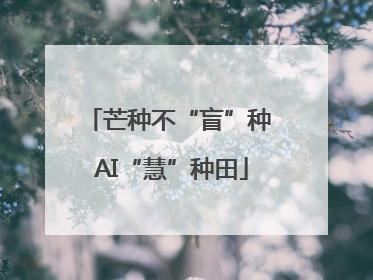 芒种不“盲”种 AI“慧”种田