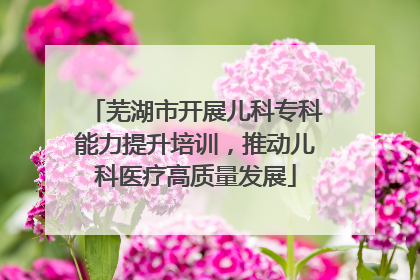 芜湖市开展儿科专科能力提升培训，推动儿科医疗高质量发展