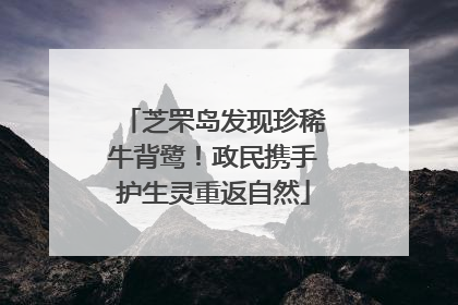 芝罘岛发现珍稀牛背鹭！政民携手护生灵重返自然