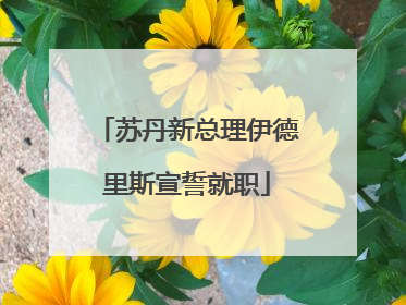 苏丹新总理伊德里斯宣誓就职