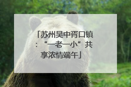 苏州吴中胥口镇：“一老一小”共享浓情端午