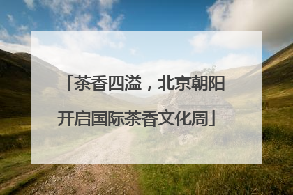茶香四溢，北京朝阳开启国际茶香文化周
