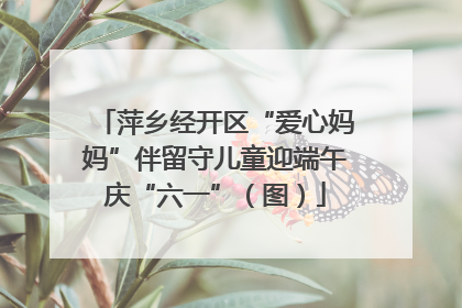 萍乡经开区“爱心妈妈”伴留守儿童迎端午庆“六一”（图）