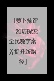 萝卜辣评｜潍坊探索全民数字素养提升新路径