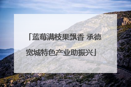 蓝莓满枝果飘香 承德宽城特色产业助振兴