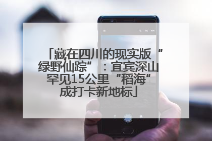 藏在四川的现实版“绿野仙踪”：宜宾深山罕见15公里“稻海”成打卡新地标