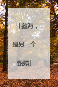藏海，是另一个甄嬛