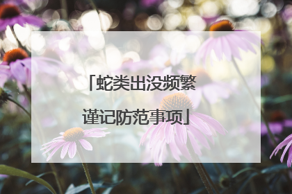 蛇类出没频繁 谨记防范事项