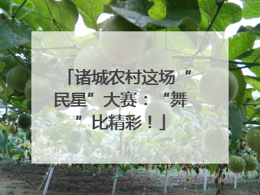 诸城农村这场“民星”大赛：“舞”比精彩！