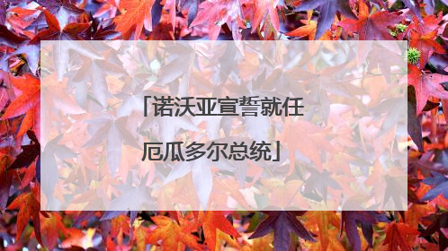 诺沃亚宣誓就任厄瓜多尔总统
