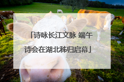 诗咏长江文脉 端午诗会在湖北秭归启幕