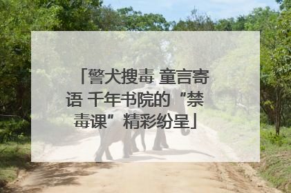 警犬搜毒 童言寄语 千年书院的“禁毒课”精彩纷呈