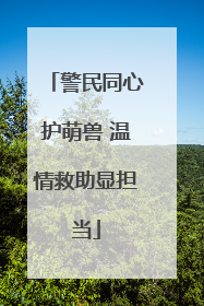 警民同心护萌兽 温情救助显担当