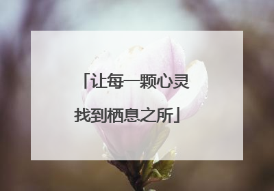 让每一颗心灵找到栖息之所