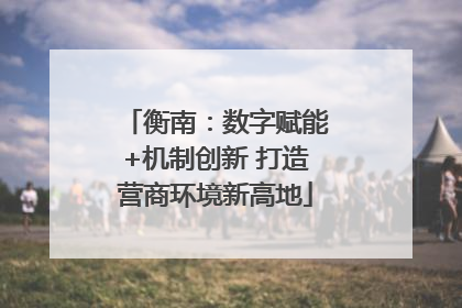 衡南：数字赋能+机制创新 打造营商环境新高地