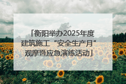 衡阳举办2025年度建筑施工“安全生产月”观摩暨应急演练活动