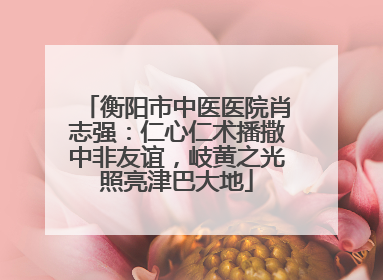 衡阳市中医医院肖志强：仁心仁术播撒中非友谊，岐黄之光照亮津巴大地
