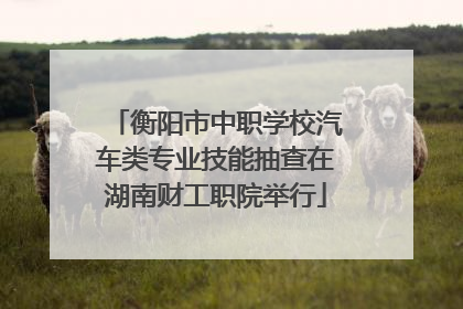 衡阳市中职学校汽车类专业技能抽查在湖南财工职院举行