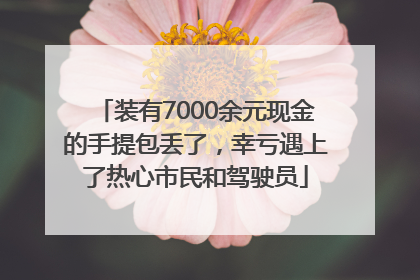 装有7000余元现金的手提包丢了，幸亏遇上了热心市民和驾驶员