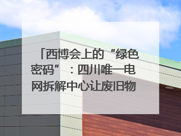 西博会上的“绿色密码”：四川唯一电网拆解中心让废旧物资“重生”｜西博寻“新”记