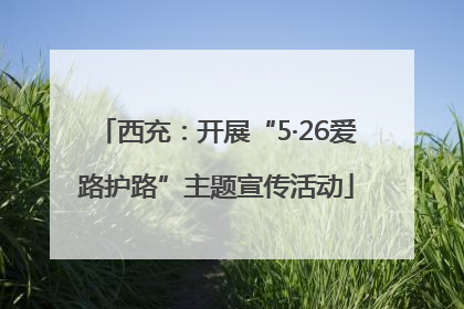 西充：开展“5·26爱路护路”主题宣传活动
