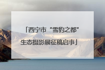 西宁市“雪豹之都”生态摄影展征稿启事