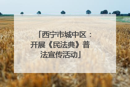 西宁市城中区：开展《民法典》普法宣传活动