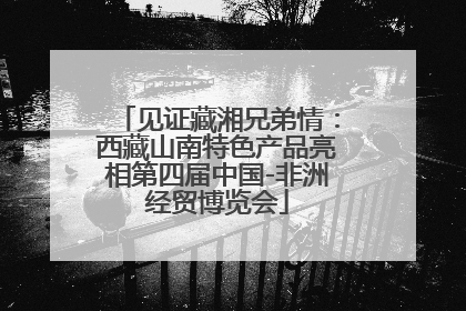 见证藏湘兄弟情：西藏山南特色产品亮相第四届中国-非洲经贸博览会