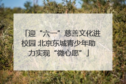 迎“六一”慈善文化进校园 北京东城青少年助力实现“微心愿”