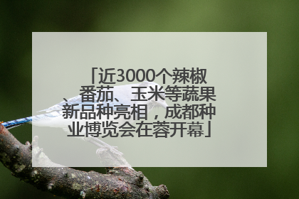 近3000个辣椒、番茄、玉米等蔬果新品种亮相，成都种业博览会在蓉开幕