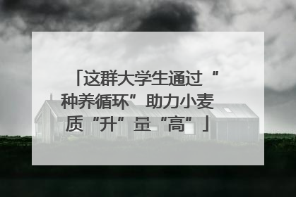 这群大学生通过“种养循环”助力小麦质“升”量“高”