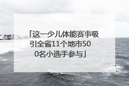 这一少儿体能赛事吸引全省11个地市500名小选手参与