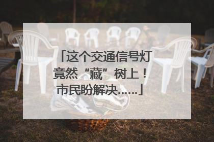 这个交通信号灯竟然“藏”树上！市民盼解决……
