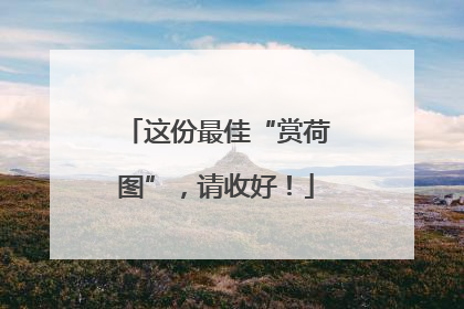 这份最佳“赏荷图”，请收好！