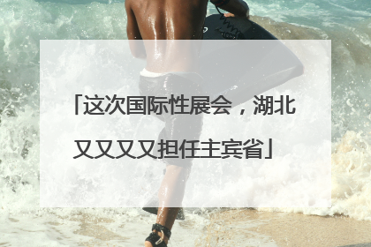 这次国际性展会，湖北又又又又担任主宾省