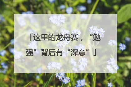 这里的龙舟赛，“勉强”背后有“深意”