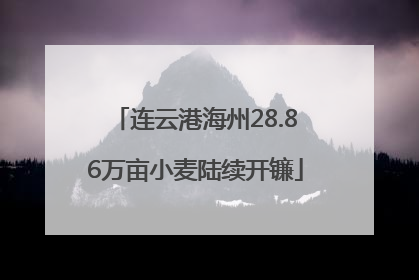 连云港海州28.86万亩小麦陆续开镰
