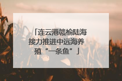 连云港赣榆陆海接力推进中远海养殖“一条鱼”