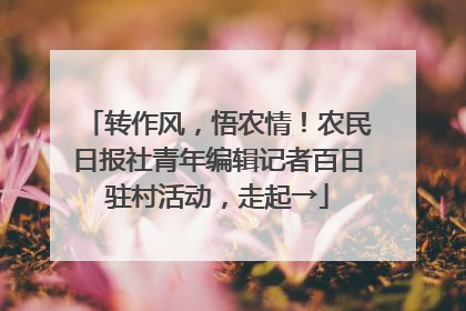 转作风，悟农情！农民日报社青年编辑记者百日驻村活动，走起→