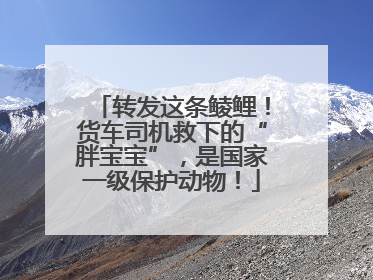 转发这条鲮鲤！货车司机救下的“胖宝宝”，是国家一级保护动物！