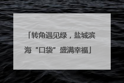 转角遇见绿，盐城滨海“口袋”盛满幸福