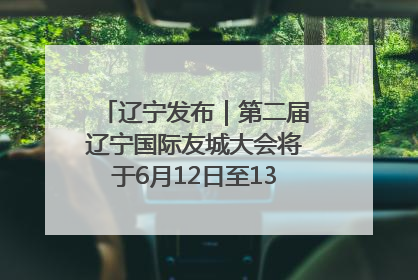 辽宁发布｜第二届辽宁国际友城大会将于6月12日至13日在沈阳举办